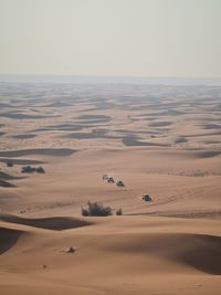 Desert cruise 