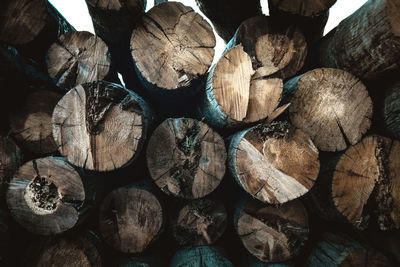 Full frame shot of logs in forest
