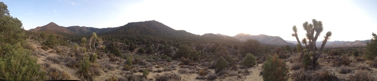 Walker Pass