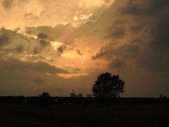 Silhouette trees on field against sky at sunset