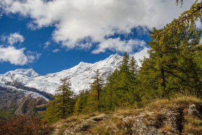 Hiking in the swiss alps