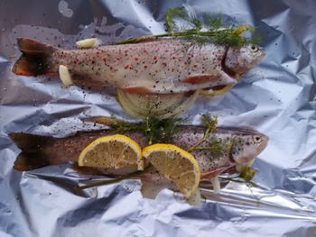High angle view of fish in plate