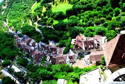 High angle view of trees and buildings