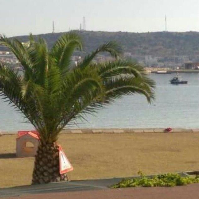 built structure, palm tree, building exterior, sea, architecture, water, tree, beach, sky, nature, day, horizon over water, growth, outdoors, house, shore, tranquility, tranquil scene, no people, sand