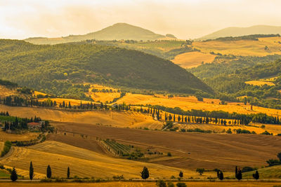 Scenic view of agricultural field against sky