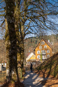 Road amidst trees and buildings in city