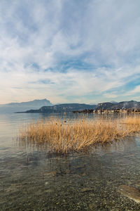 Scenic view of lake against sky