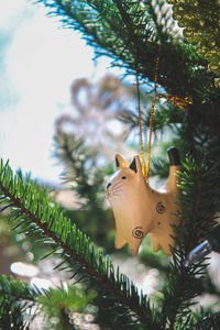 Close-up of christmas tree