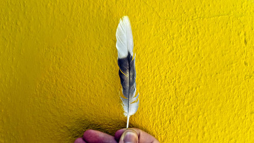 Close-up of human hand