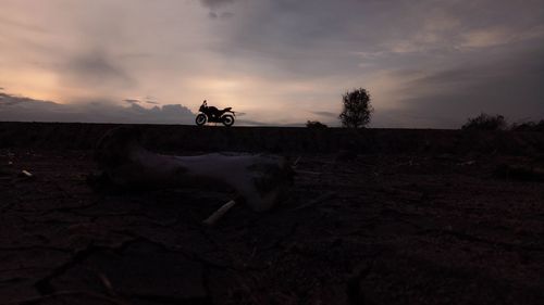 Man riding horse cart against sky during sunset