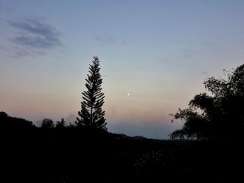 Silhouette trees on landscape against sky during sunset