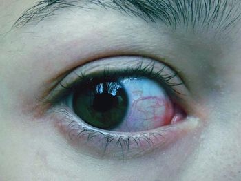 Close-up portrait of human eye