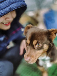 Portrait of cute dog