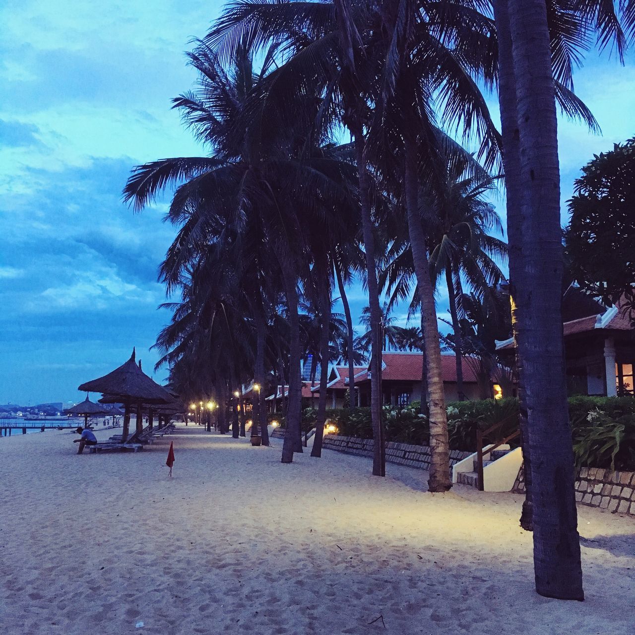 PALM TREES AT BEACH AGAINST SKY IN CITY