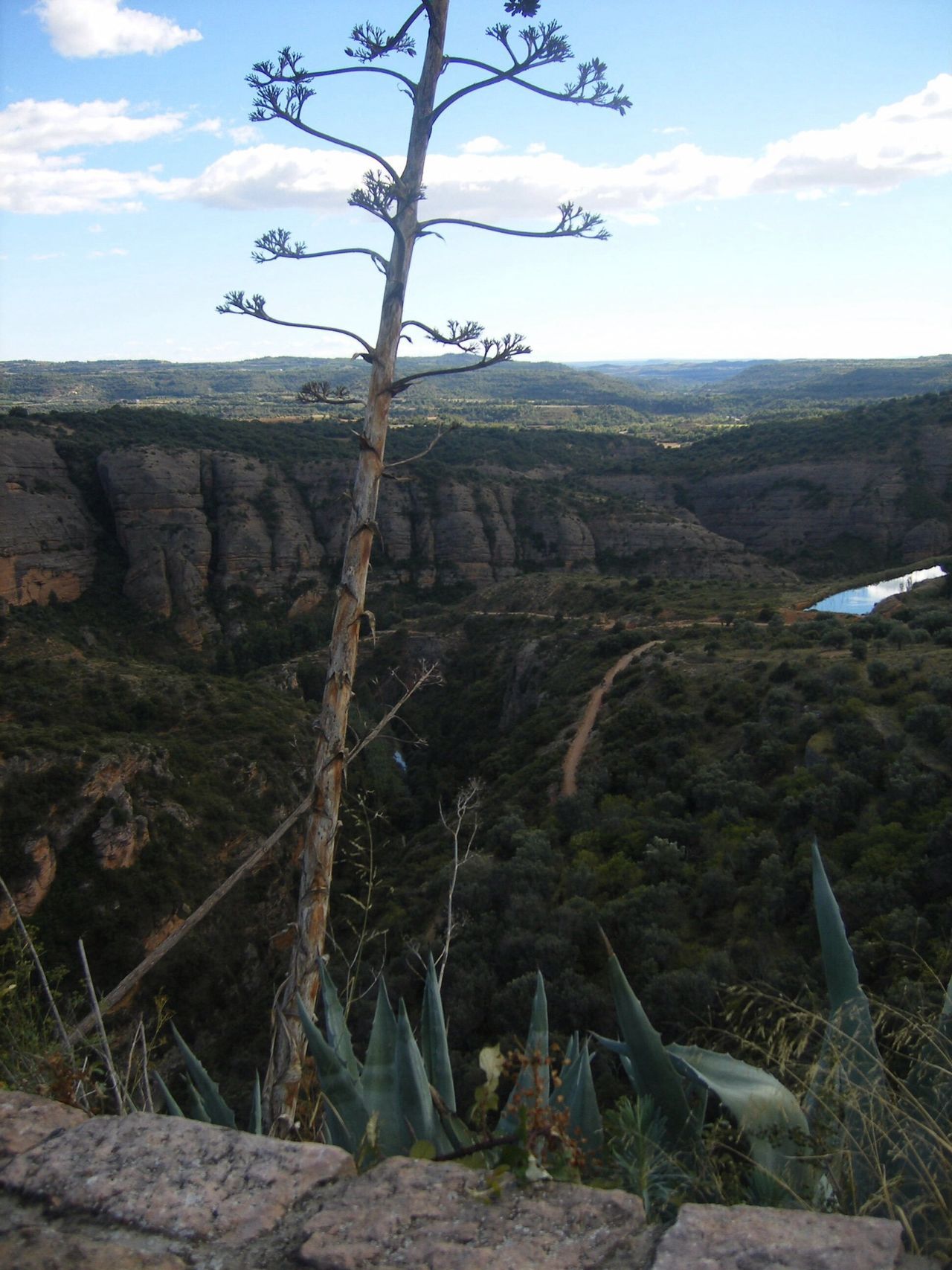 Alquezar