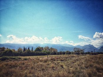 Scenic view of field against sky