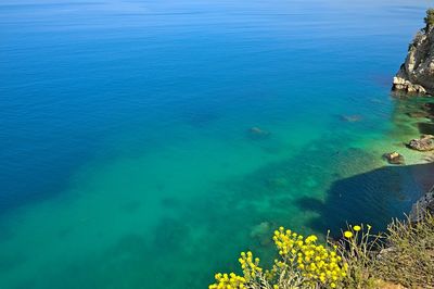 High angle view of sea and rocks