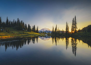 Tipsoo lake on sunset with a reflection of mt. rainier, washington