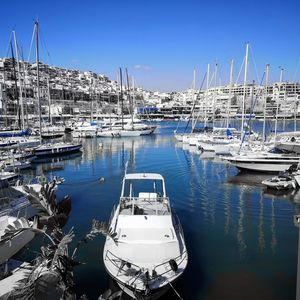 Sailboats moored in harbor