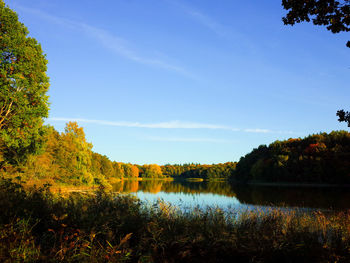 Scenic view of lake in forest against sky