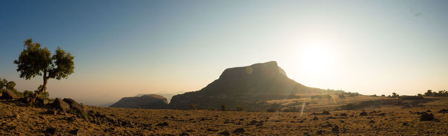 Scenic view of landscape against clear sky during sunset