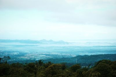 Scenic view of forest against sky