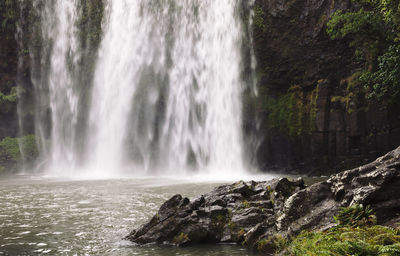 Scenic view of waterfall in forest