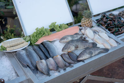 High angle view of fish for sale in market