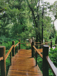 Empty bridge in forest