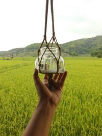 Cropped hand of woman holding glass container hanging from strings against agricultural field