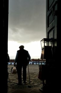 Rear view of man overlooking sea