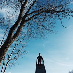 Low angle view of bare trees against sky