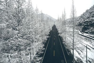 Railroad tracks amidst bare trees during winter