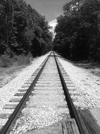 Railway tracks along trees