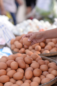 Close-up of hand holding eggs