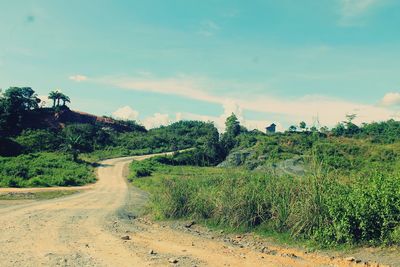 Dirt road amidst plants and trees against sky