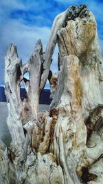 Low angle view of rocks