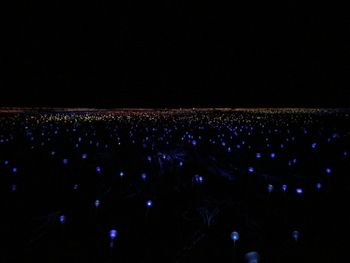 Aerial view of illuminated lights at night