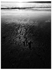 Scenic view of beach