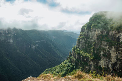 Fortaleza canyon with steep rocky cliffs covered by forest and fog near cambara do sul, brazil.