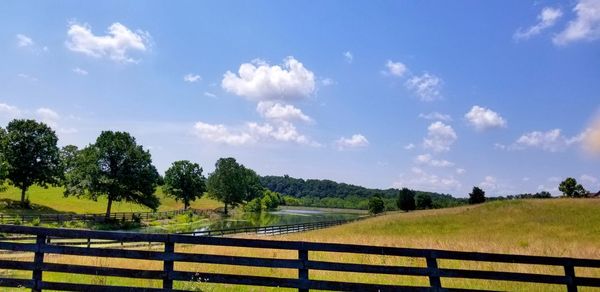 Trees growing on field against sky