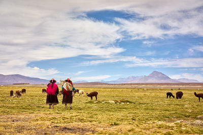 Rear view of female herders with alpacas on field