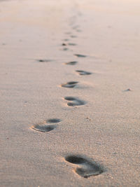 High angle view of footprints on sand at beach