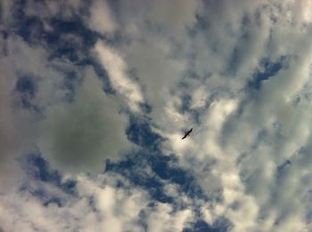 Low angle view of birds flying in sky
