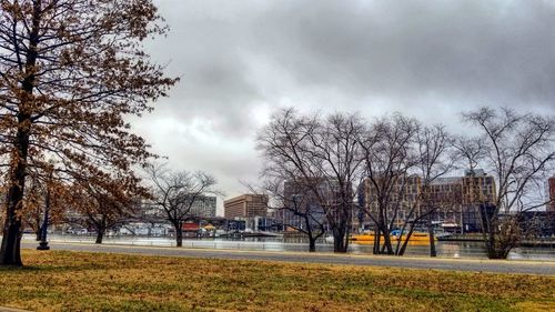 Bare trees in city against sky