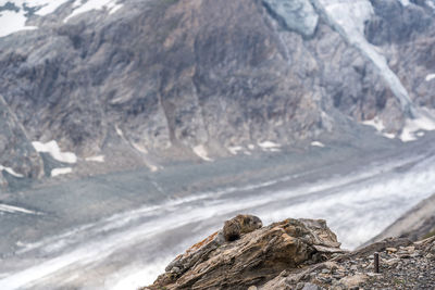 Rock formations on land