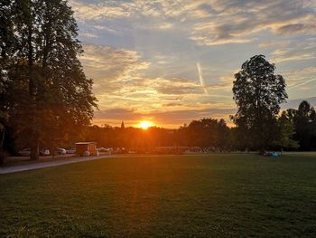 Trees on field against sky during sunset