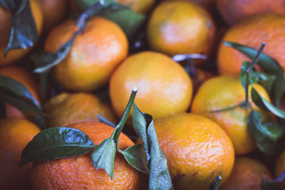 Close-up of fruits for sale in market