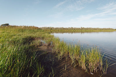 Scenic view of lake against sky