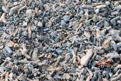 High angle view of stones on pebbles